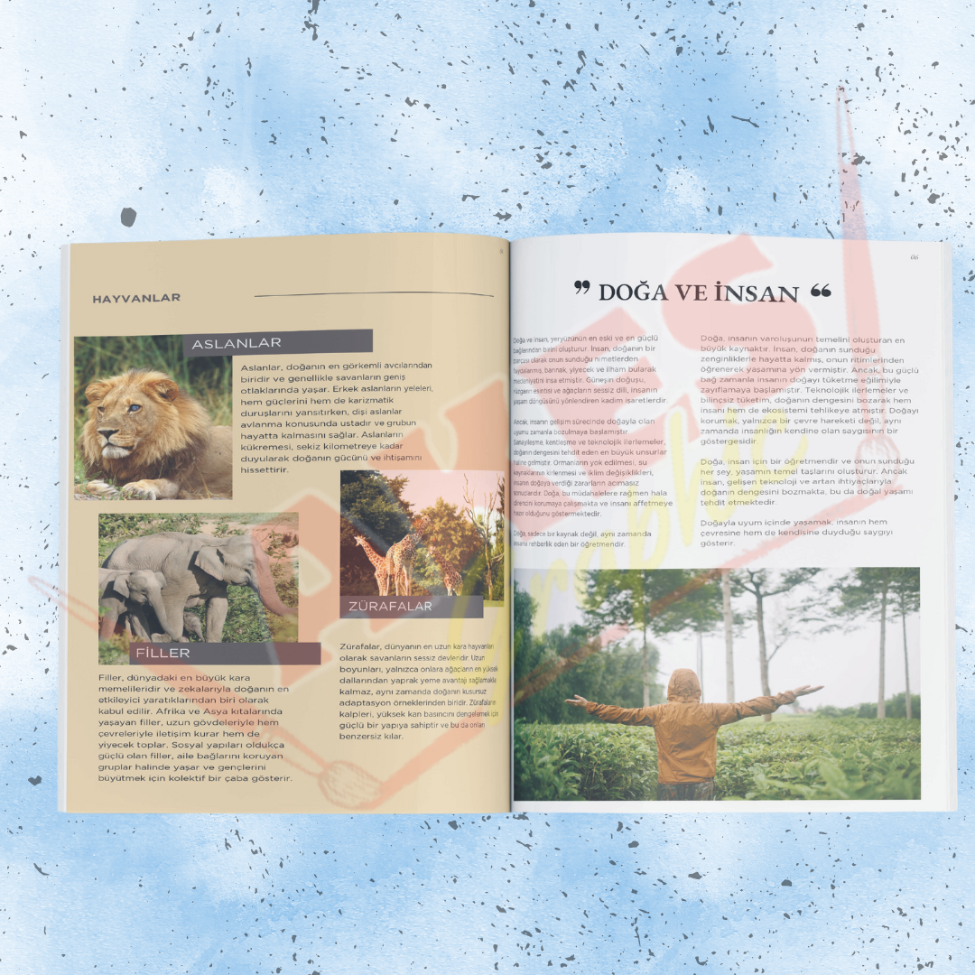 Mockup Tasarımı (7) Akes Grafik